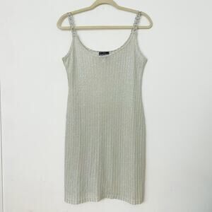 Metallic Silver Sheer Mini Dress
